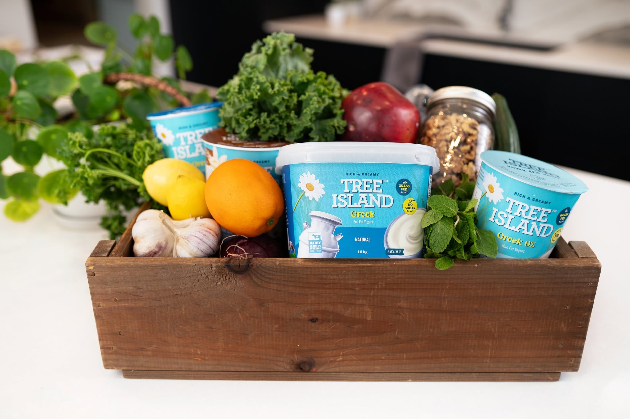 Tree Island Yogurt Now at Vancouver Island Costco Locations