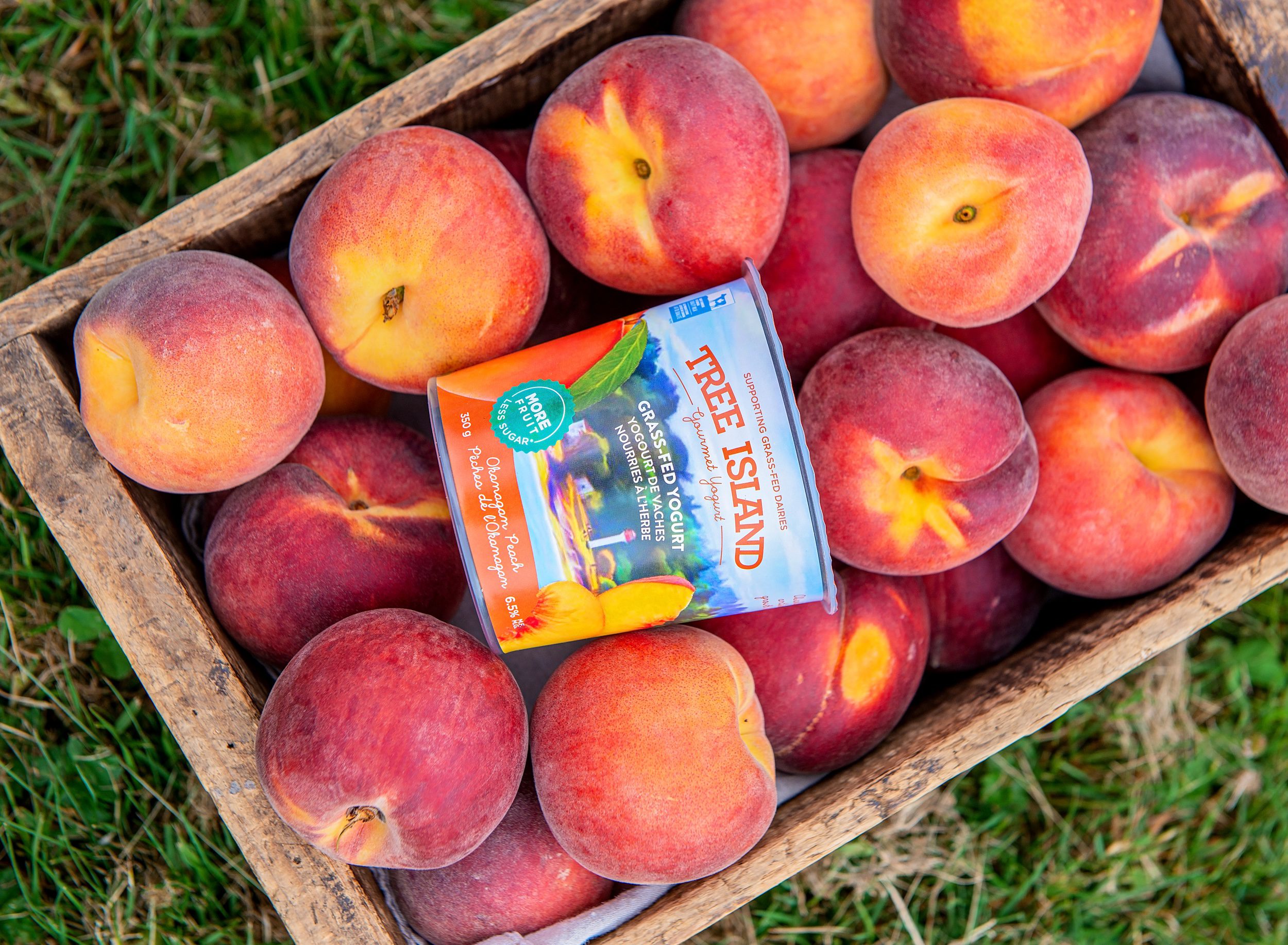 Upcycled Fruit: The Story Behind Our Okanagan Peach Yogurt